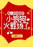 美人带球跑后小狼狗火葬场了