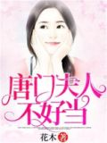 倾城炼丹师小说