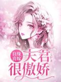 良缘喜嫁：夫君很傲娇