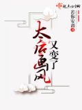 清穿之太后画风与众不