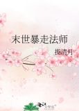 末世暴走法师 揽清月