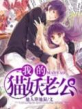 捡只猫妖成老公