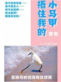 裹紧我的小马甲无错字