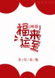 福来运至[网游]副本线