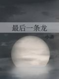 最后一条龙墨西哥剧在线观看