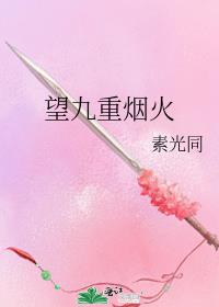 望九重烟火 小说