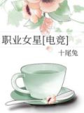 职业女星TXT下载百度网盘