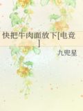 快上瘾牛肉面