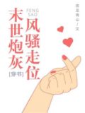 末世炮灰风驭骚走位小说