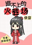 追不上的火葬场[快穿] 小说