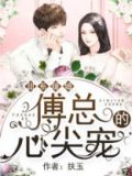 甜婚蜜爱傅少