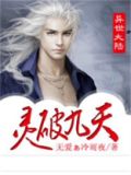 天灵九变小说