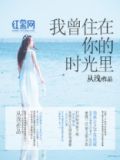 我曾住在你的时光里是什么歌