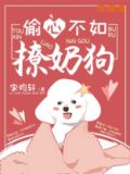 偷心撩人的话