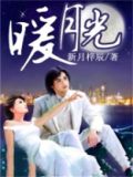 暖月光小说全文免费阅读
