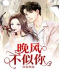 晚风不似你免费阅读无弹窗