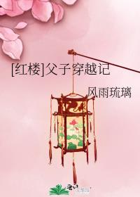 红楼父子穿越记风云琉璃免费阅读