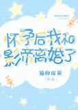 怀孕后我和影帝离婚了免费阅读晋江