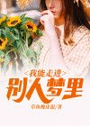 我走进了别人的梦境 歌词