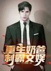 重生奶爸小说下载