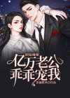 错嫁亿万老公闪婚厚爱