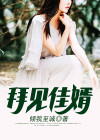拜见女婿大人下载