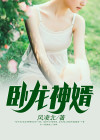 卧龙赘婿无弹窗