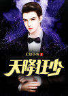天降狂少txt
