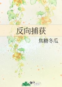 反向捕获有车吗