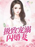 极致宠婚txt