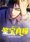 鉴宝灵瞳全文免费阅读