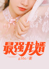 最强龙婿 文言络