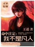 命中注定:我不是凡人