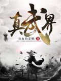 真武界林栋小说