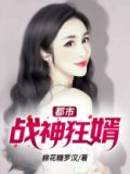 小说都市战神狂婿
