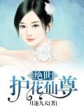 都市护花仙尊免费阅读