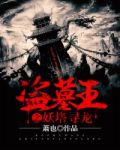 盗墓王之妖塔寻龙百度网盘
