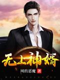 无上神婿