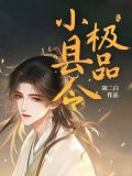 极品小县令