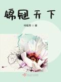 锦冠天下免费阅读