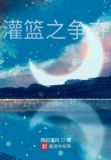 灌篮之争夺 小说
