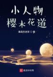 樱木花道球衣几号