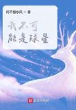 我不可能是球星 小说