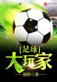 足球大玩家比分查询
