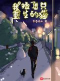 我捡了只重生的猫书评