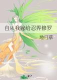 自从我嫁给忍界修罗