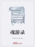 魂游录