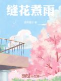 缝花煮雨小说全文免费阅读