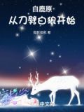 白鹿原咋走