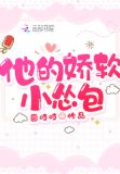 他的娇软小怂包